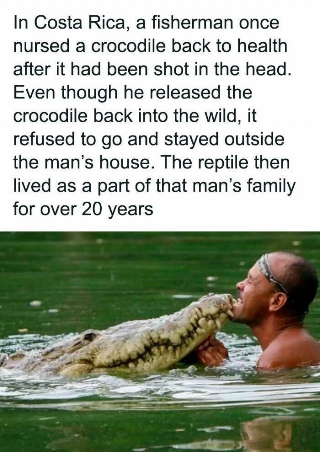 Interesting Facts (25 pics)