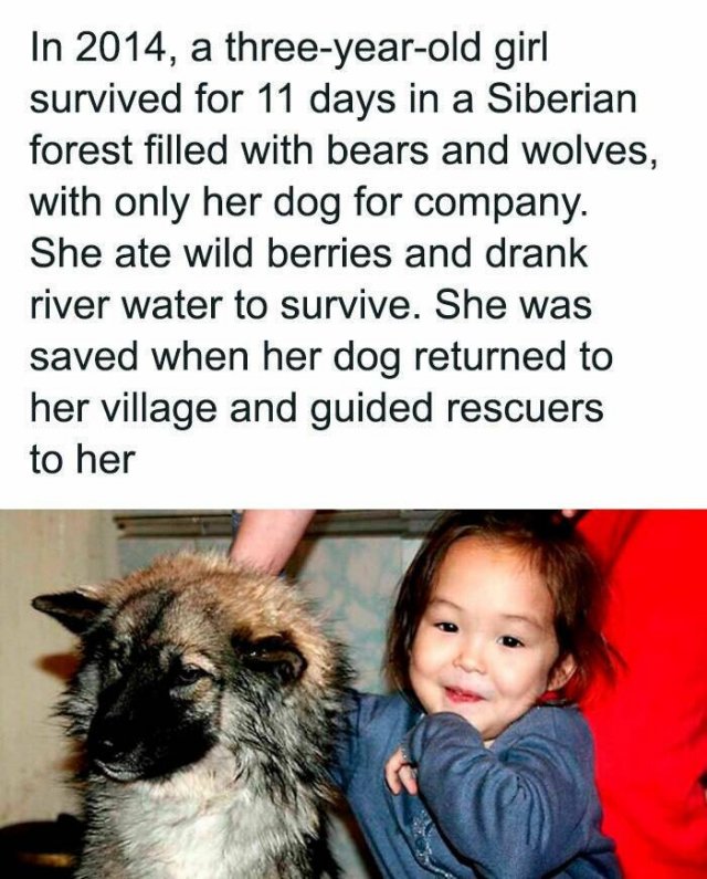Interesting Facts (25 pics)