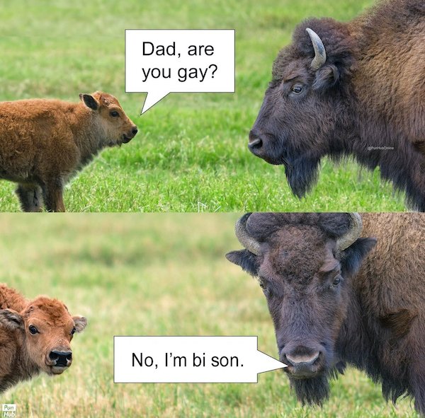 Dads Jokes (28 pics)