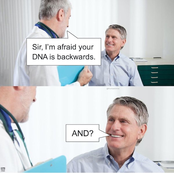 Dads Jokes (28 pics)