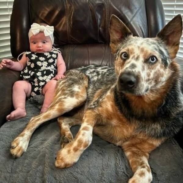 Awkward Family Photos From The Past (21 pics)