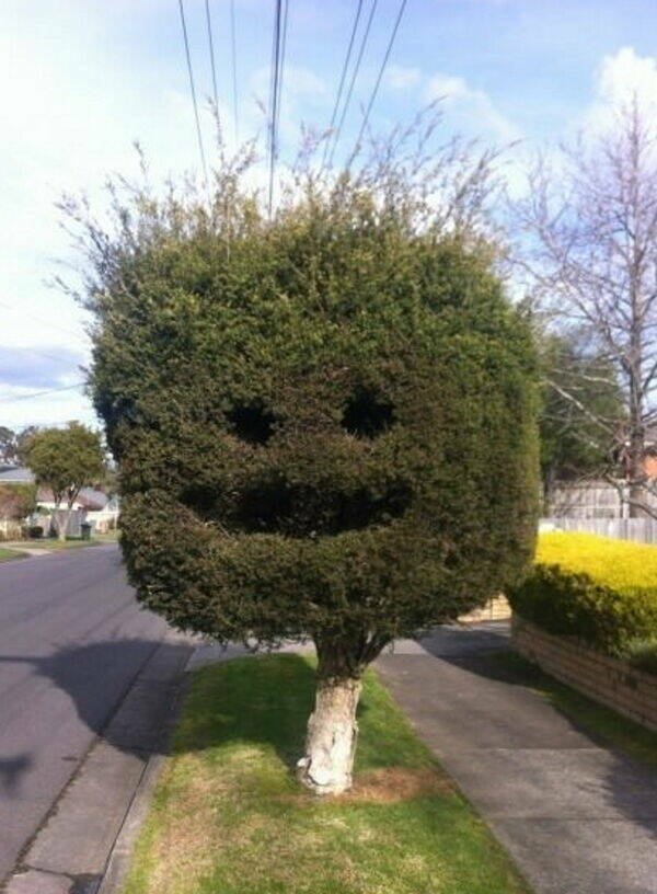 Strange Finds And Situations (26 pics)