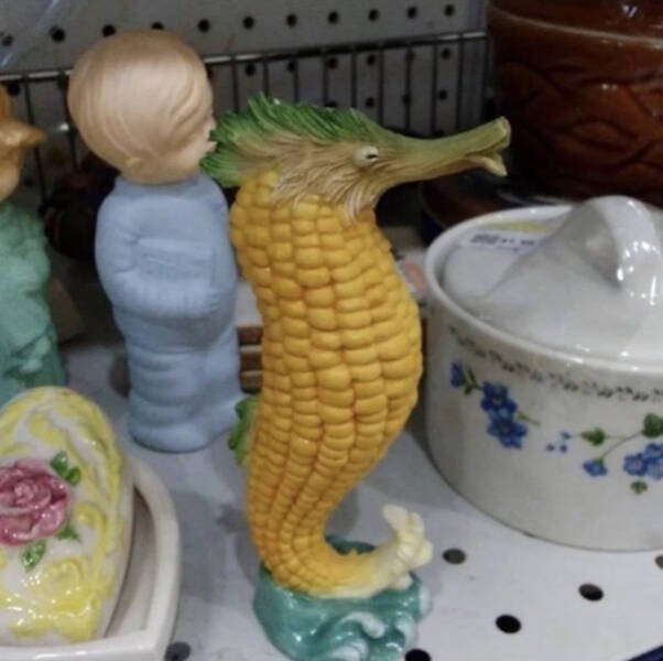 Strange Finds And Situations (26 pics)