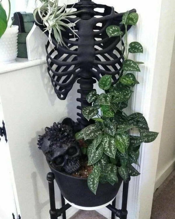 Strange Finds And Situations (26 pics)