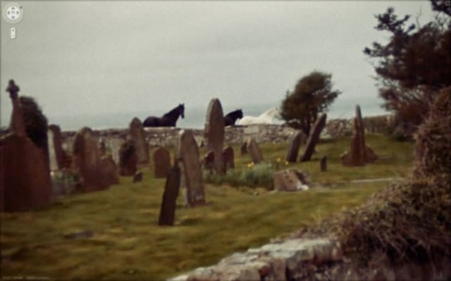 Animals On Google Street View (28 pics)