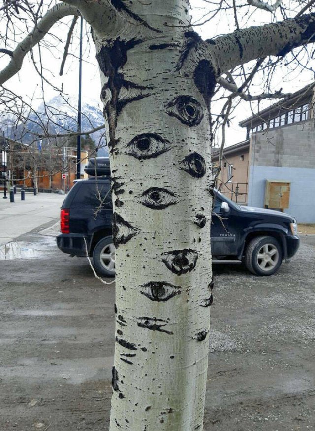 Faces Everywhere (25 pics)