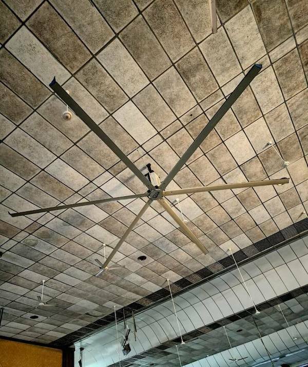 Giant Things (15 pics)