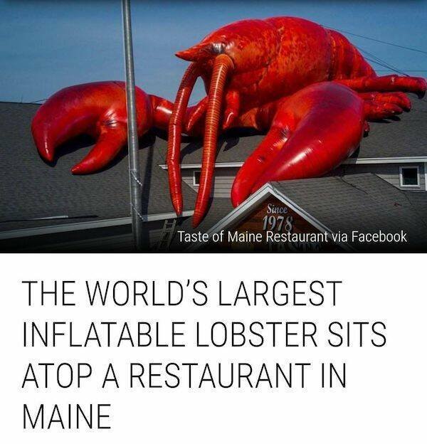 Giant Things (15 pics)