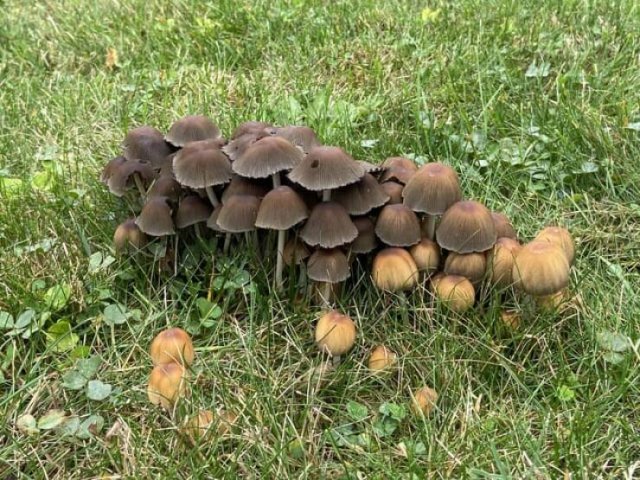 Unusual Finds (20 pics)