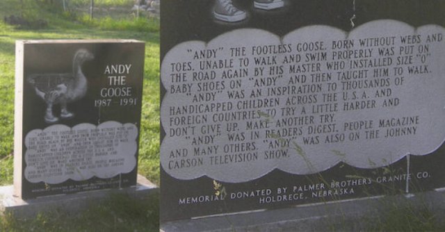 Positive Tombstones (19 pics)