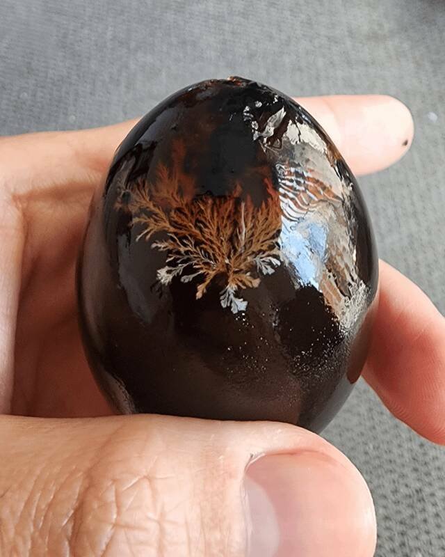 Unusual Finds (20 pics)