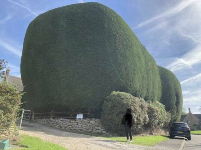 Giant Things (15 pics)