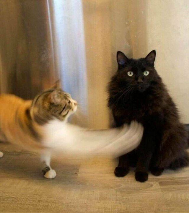 Right Moment (18 pics)