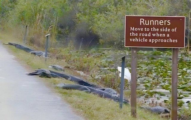 Right Moment (18 pics)