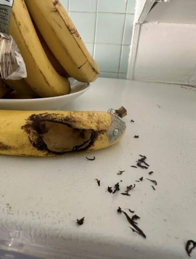 Creepy Photos (28 pics)