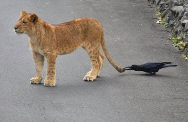Right Moment (18 pics)