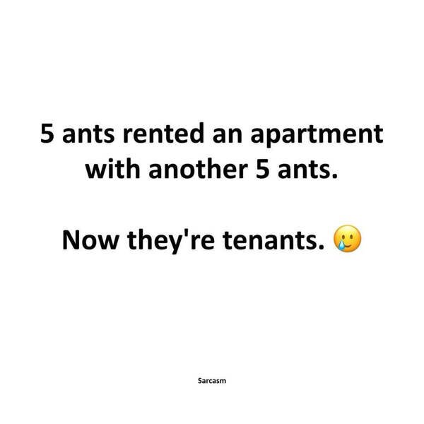 Funny Memes (24 pics)