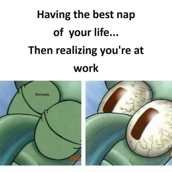 Funny Memes (24 pics)