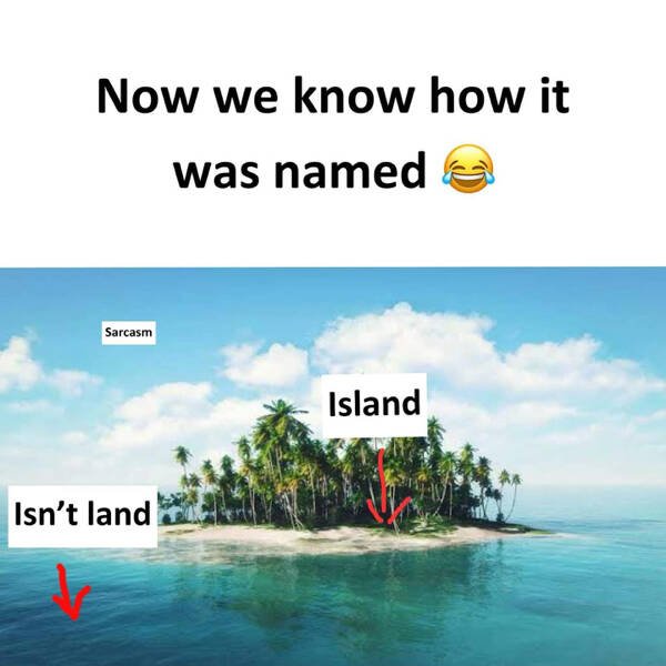 Funny Memes (24 pics)