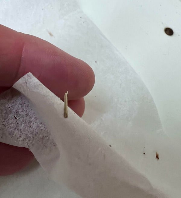 Failures At Work (26 pics)