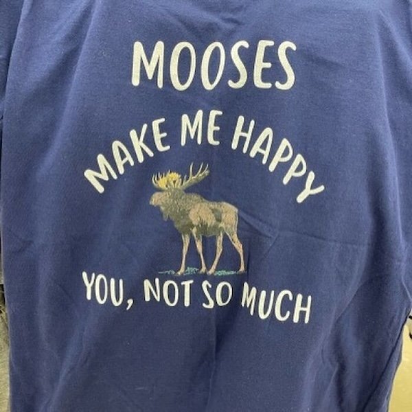 Weird Finds In Thrift Shops (38 pics)