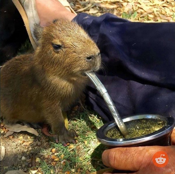 What Is Going On Here? (29 pics)