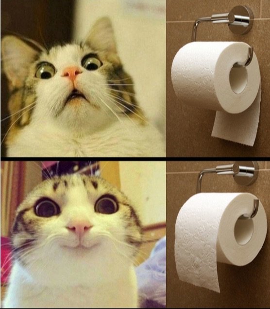 Funny Cats (31 pics)