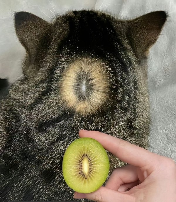 What Is Going On Here? (29 pics)