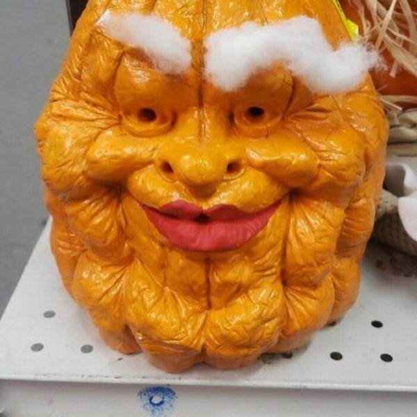 Weird Finds In Thrift Shops (38 pics)