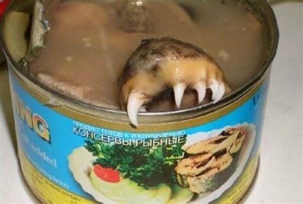 Weird Food And Dishes (37 pics)