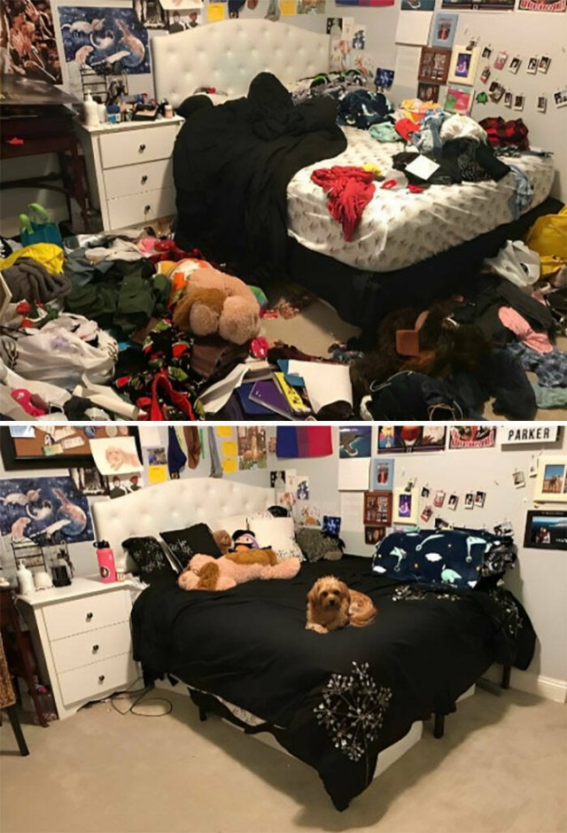 Before And After Cleaning (23 pics)