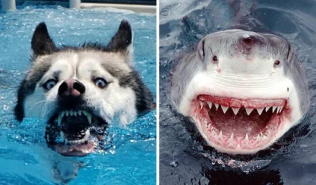 Funny Coincidences (26 pics)