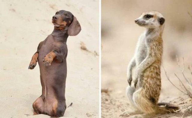 Funny Coincidences (26 pics)