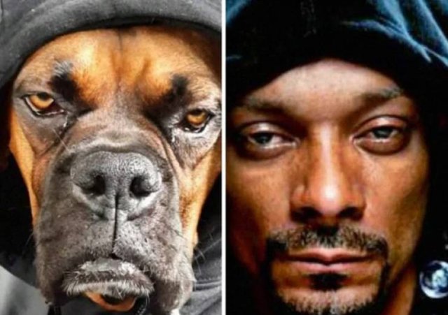 Funny Coincidences (26 pics)