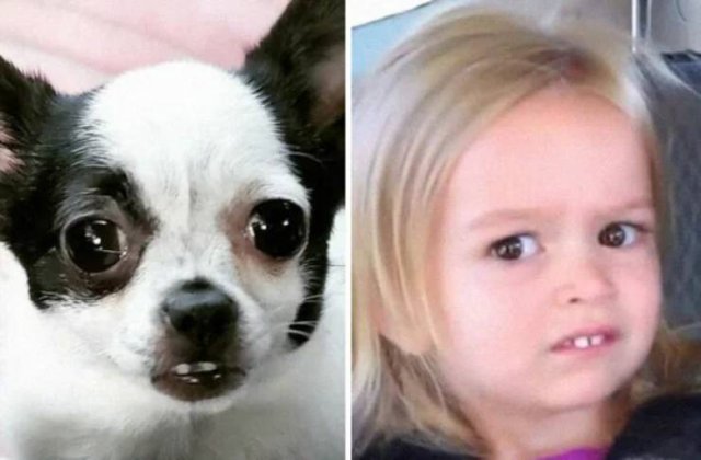 Funny Coincidences (26 pics)