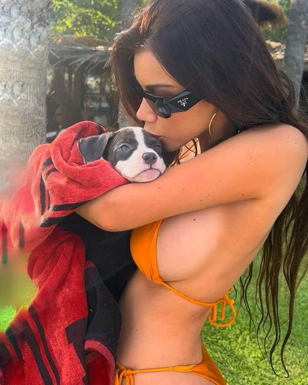 Busty Girls (32 pics)