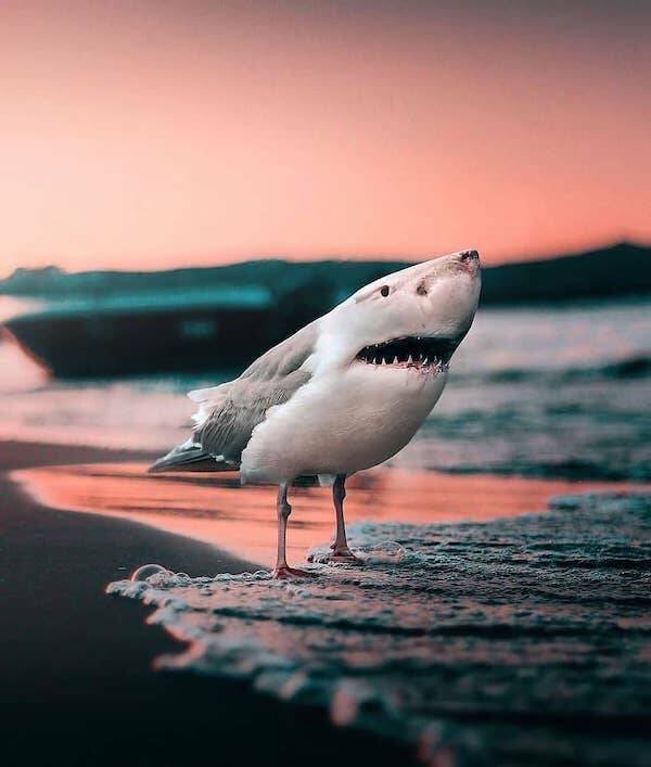 Funny Photoshop (24 pics)