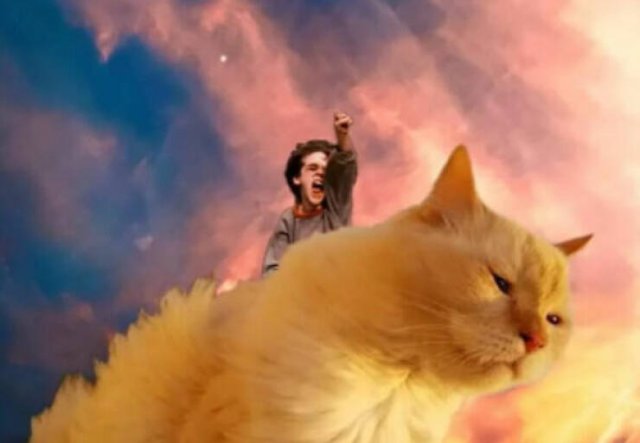 Funny Photoshop (24 pics)