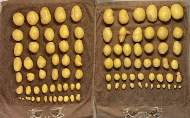 Amazing Space Organization (24 pics)