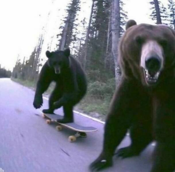 Funny Photoshop (24 pics)