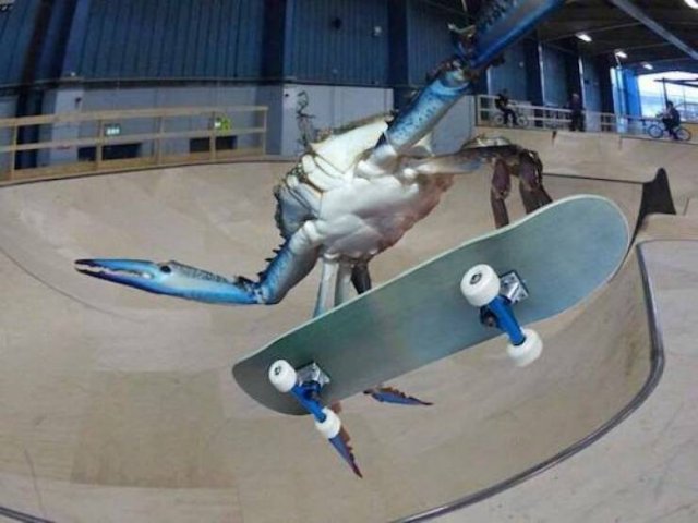 Funny Photoshop (24 pics)