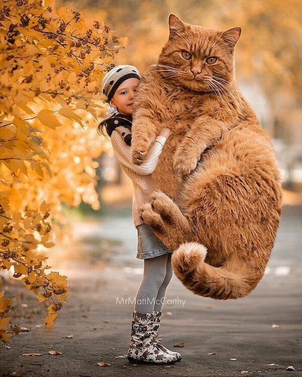 Funny Photoshop (24 pics)