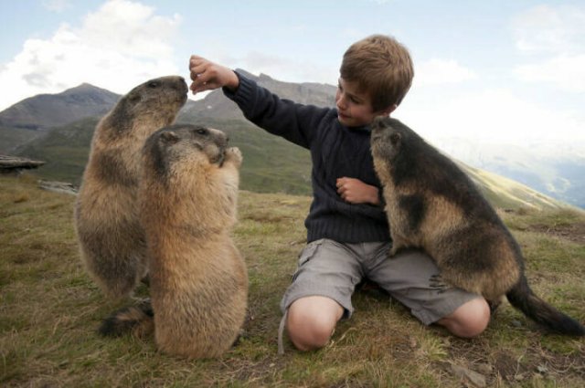 Cute And Funny Animals (26 pics) Cute And Funny Animals (26 pics)