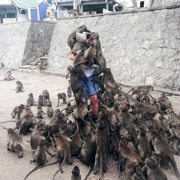 Cute And Funny Animals (26 pics) Cute And Funny Animals (26 pics)