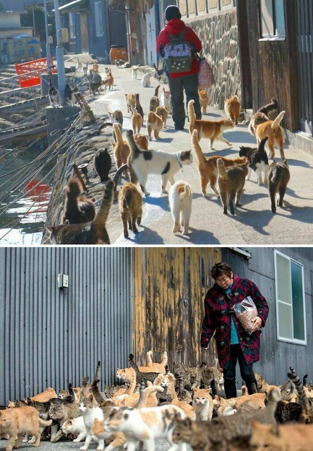 Cute And Funny Animals (26 pics) Cute And Funny Animals (26 pics)