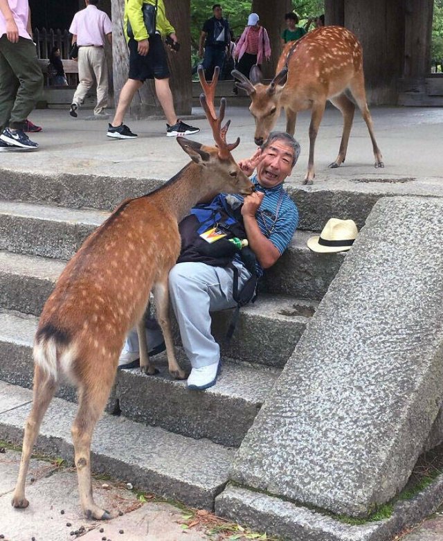 Cute And Funny Animals (26 pics) Cute And Funny Animals (26 pics)
