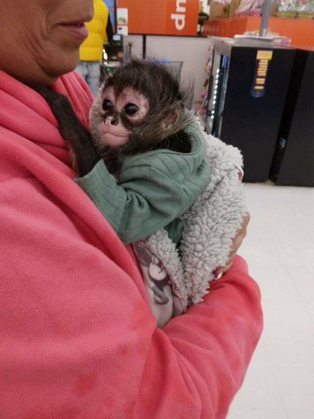 Strange And Funny People In Shops (34 pics)
