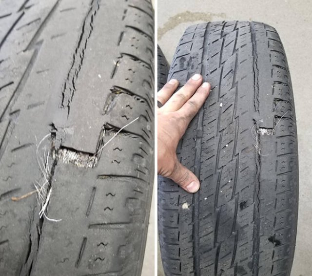 Tire Shop Workers Share Their Findings (28 pics)