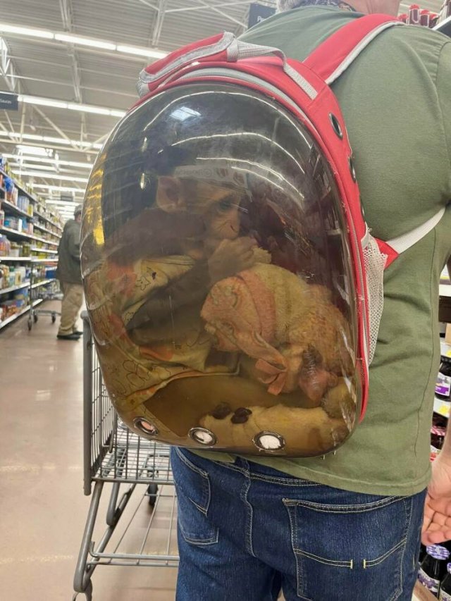 Strange And Funny People In Shops (34 pics)