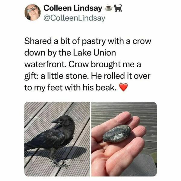 Creepy Memes (25 pics)
